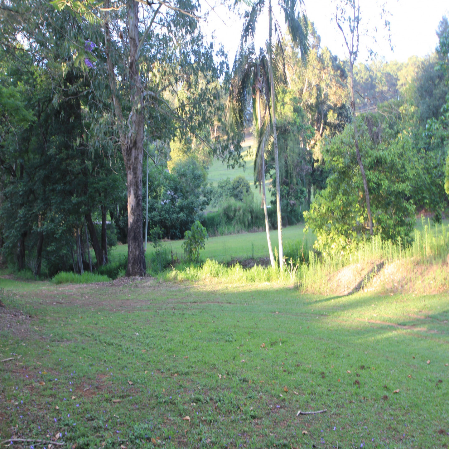 63 Macdonald Road photo 3