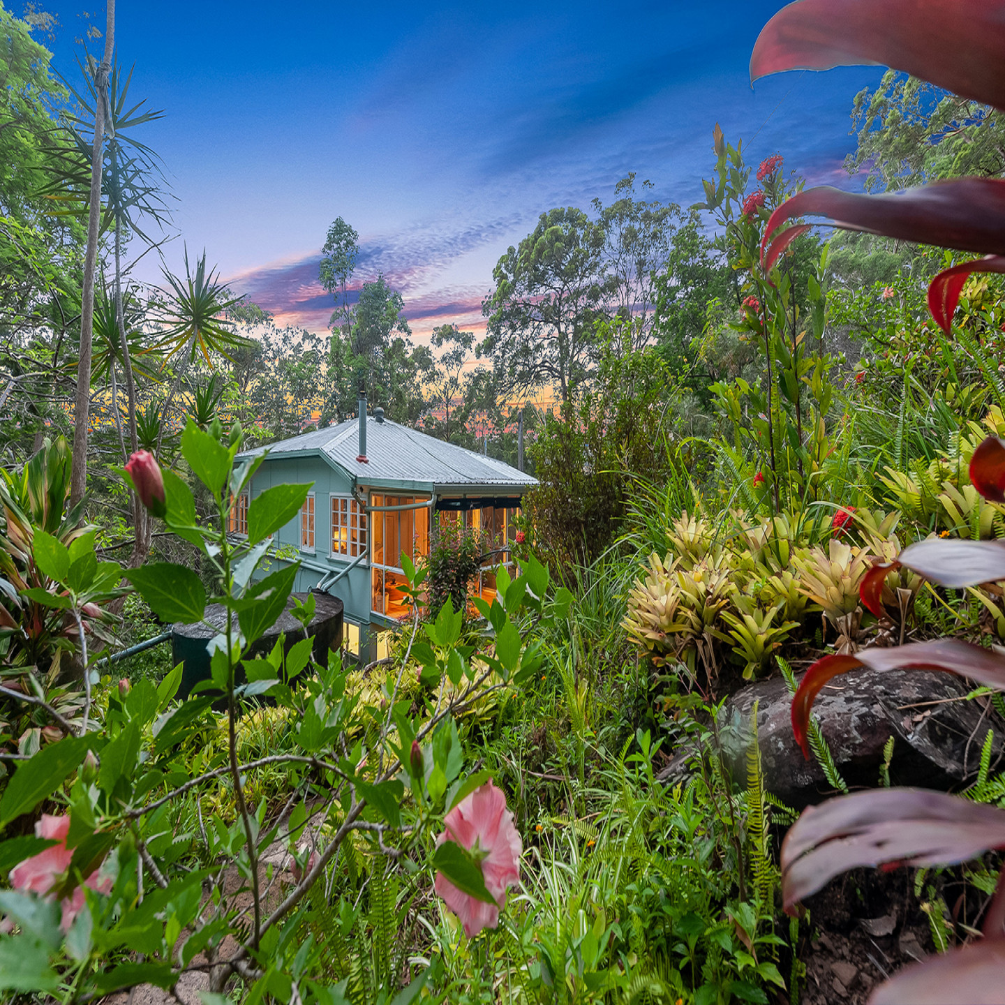 517 Palmwoods Montville Road photo 25