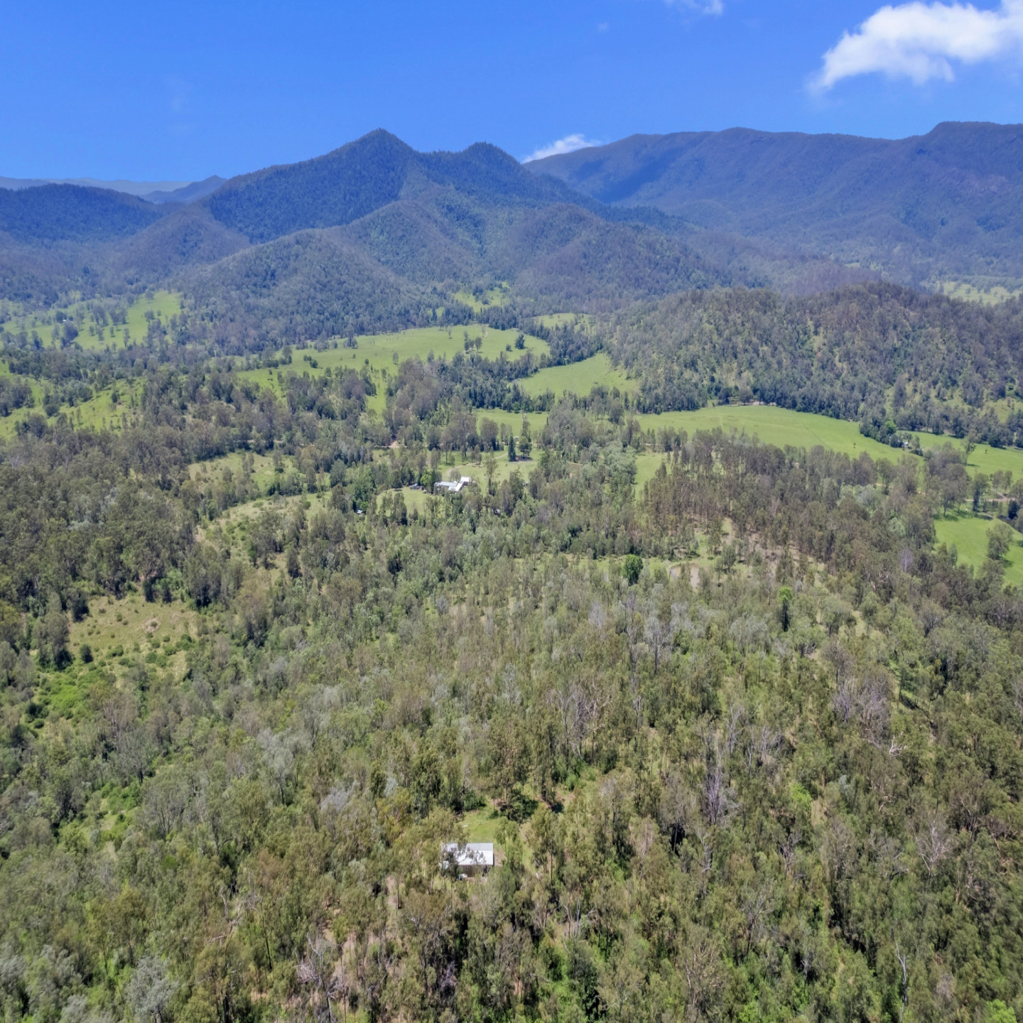 878 Mount Byron Road photo 26
