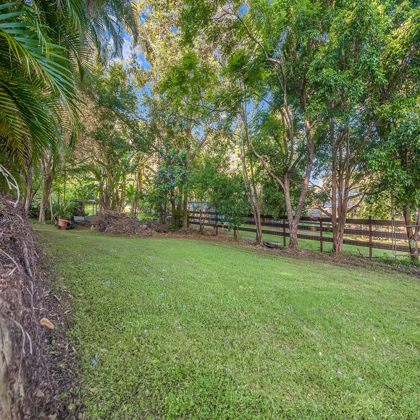 111 Old Palmwoods Road photo 17