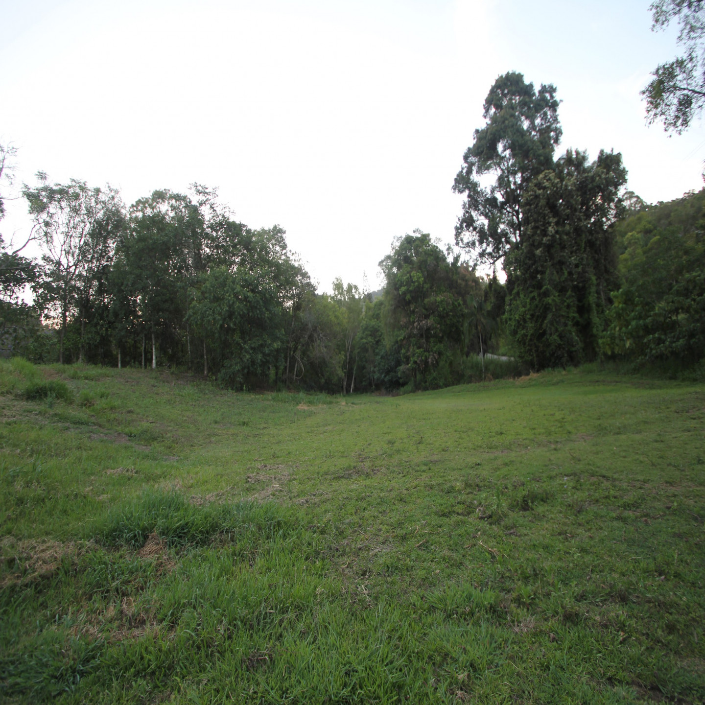 63 Macdonald Road photo 11