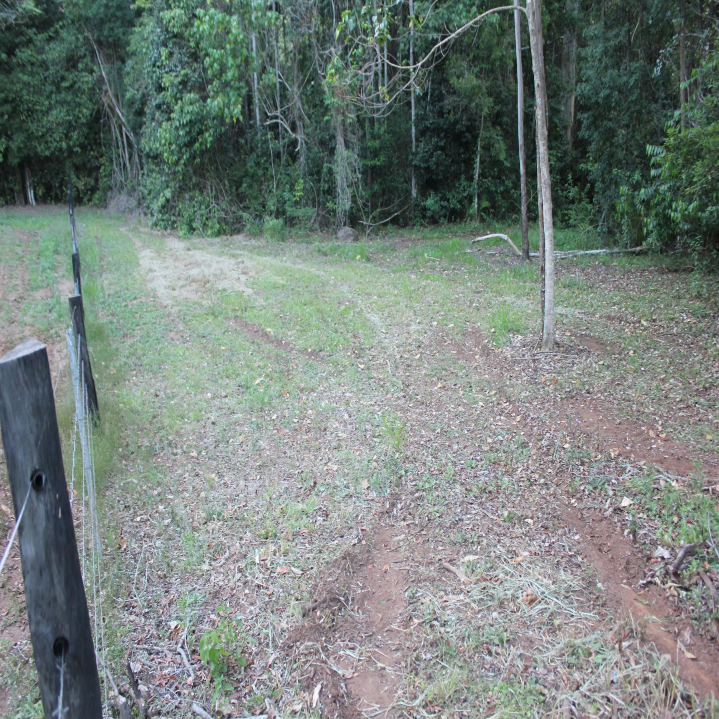 63 Macdonald Road photo 12