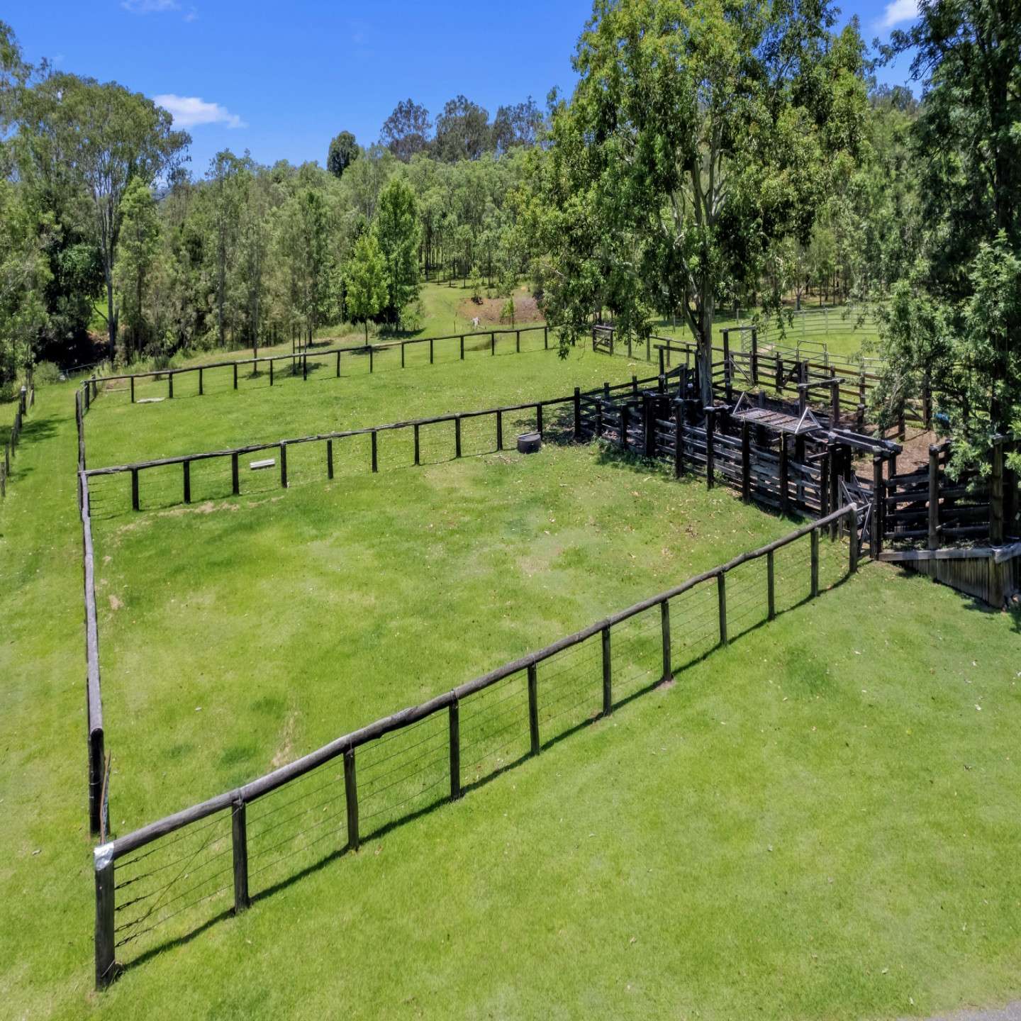 878 Mount Byron Road photo 20