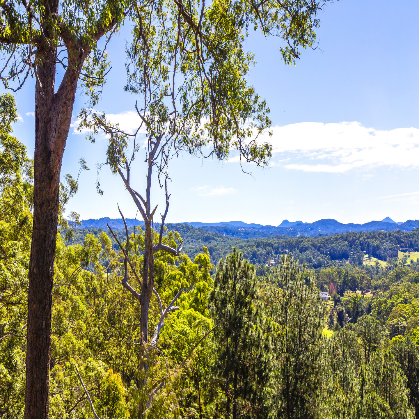 169 Nobles Road photo 5