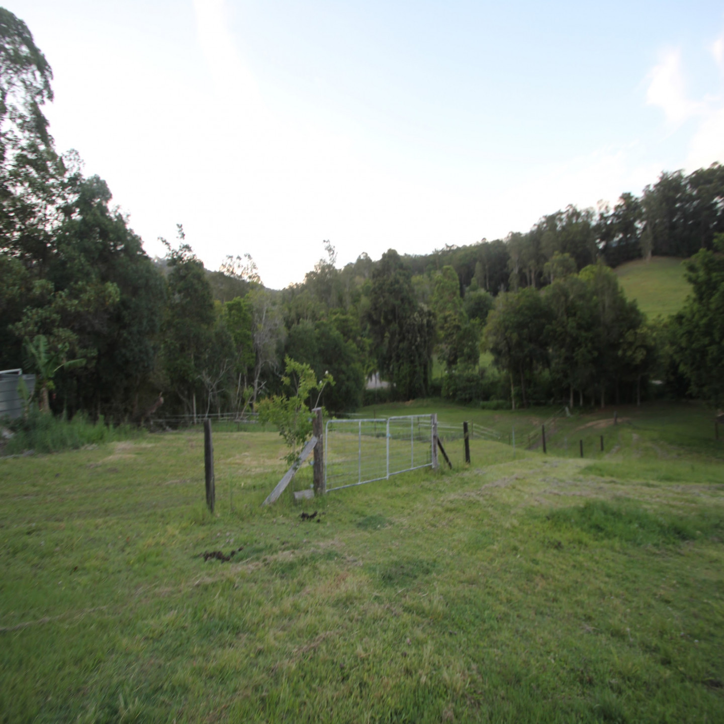 63 Macdonald Road photo 8