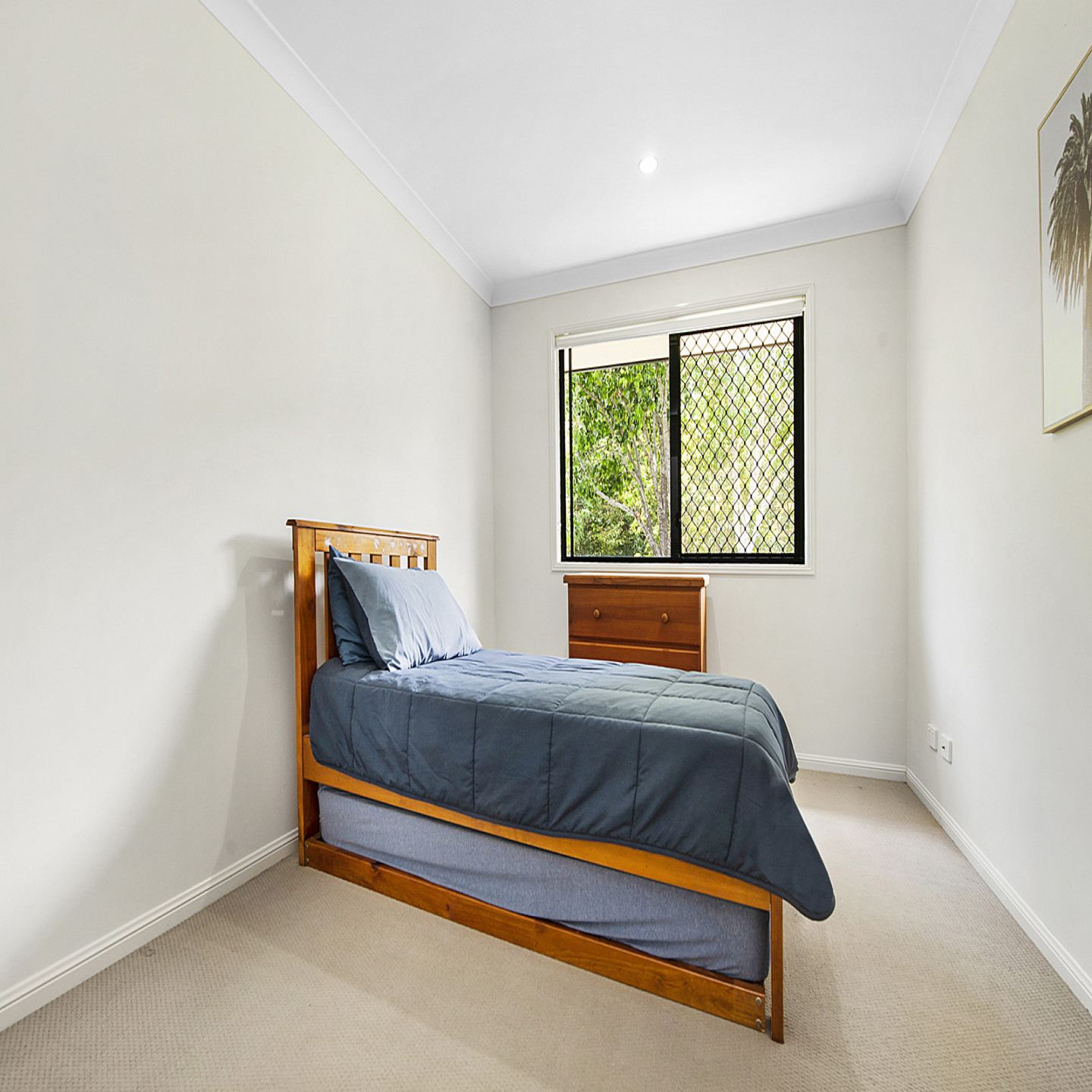 4 Macadam Court photo 14