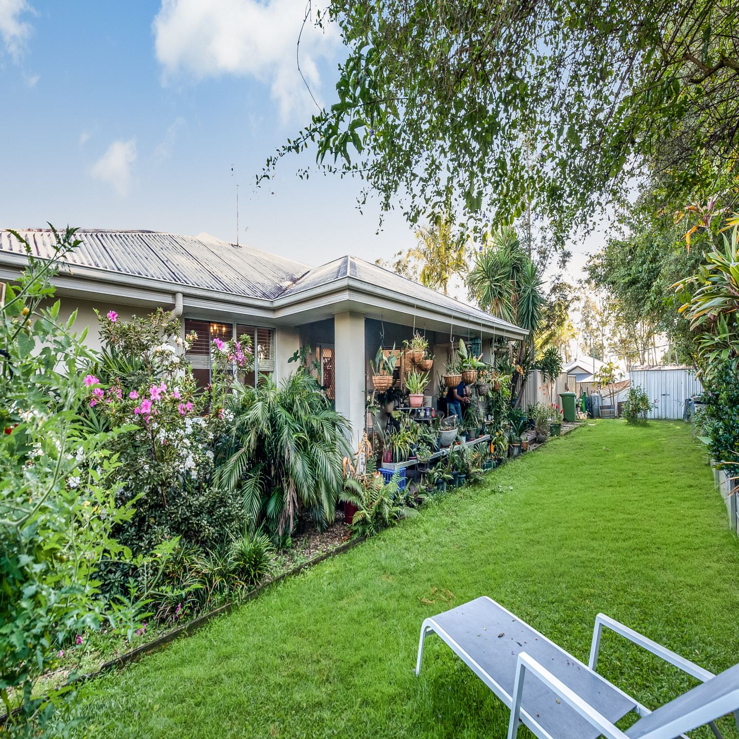 6 Bush Tree Court photo 4