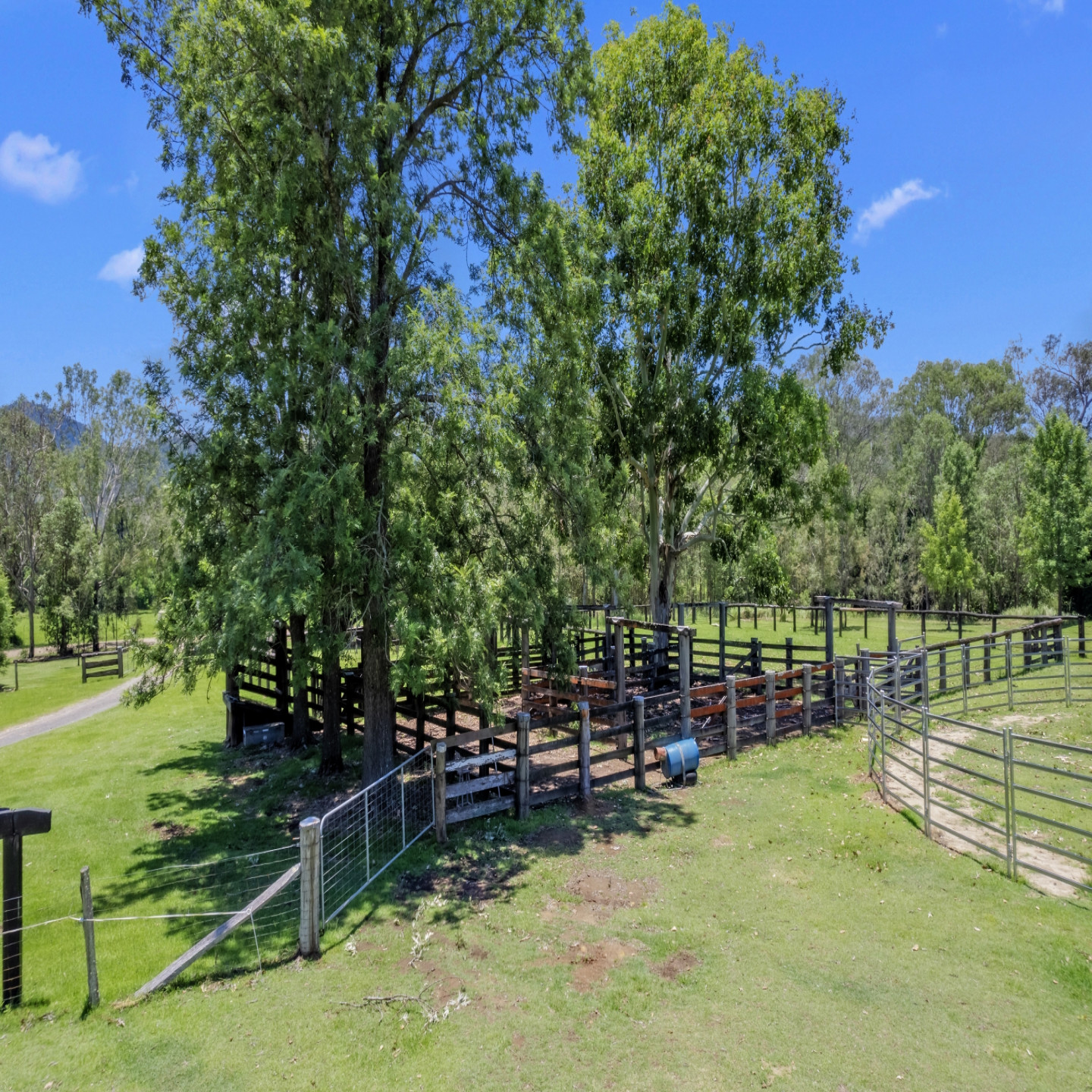 878 Mount Byron Road photo 21