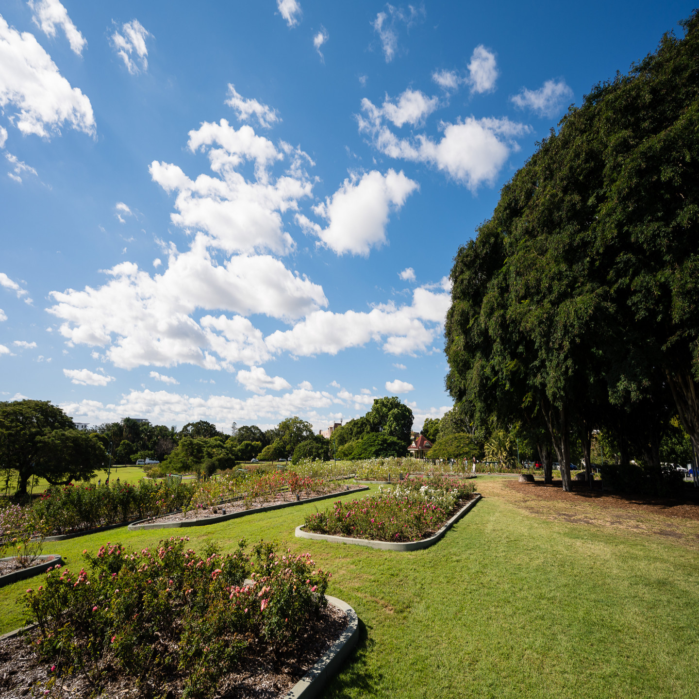 7/376 Bowen Terrace photo 2