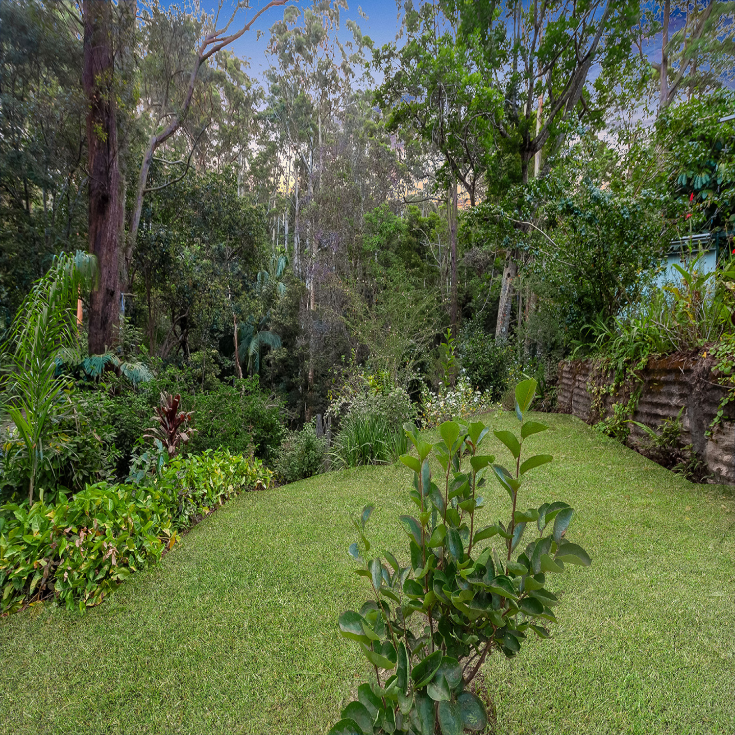 517 Palmwoods Montville Road photo 26
