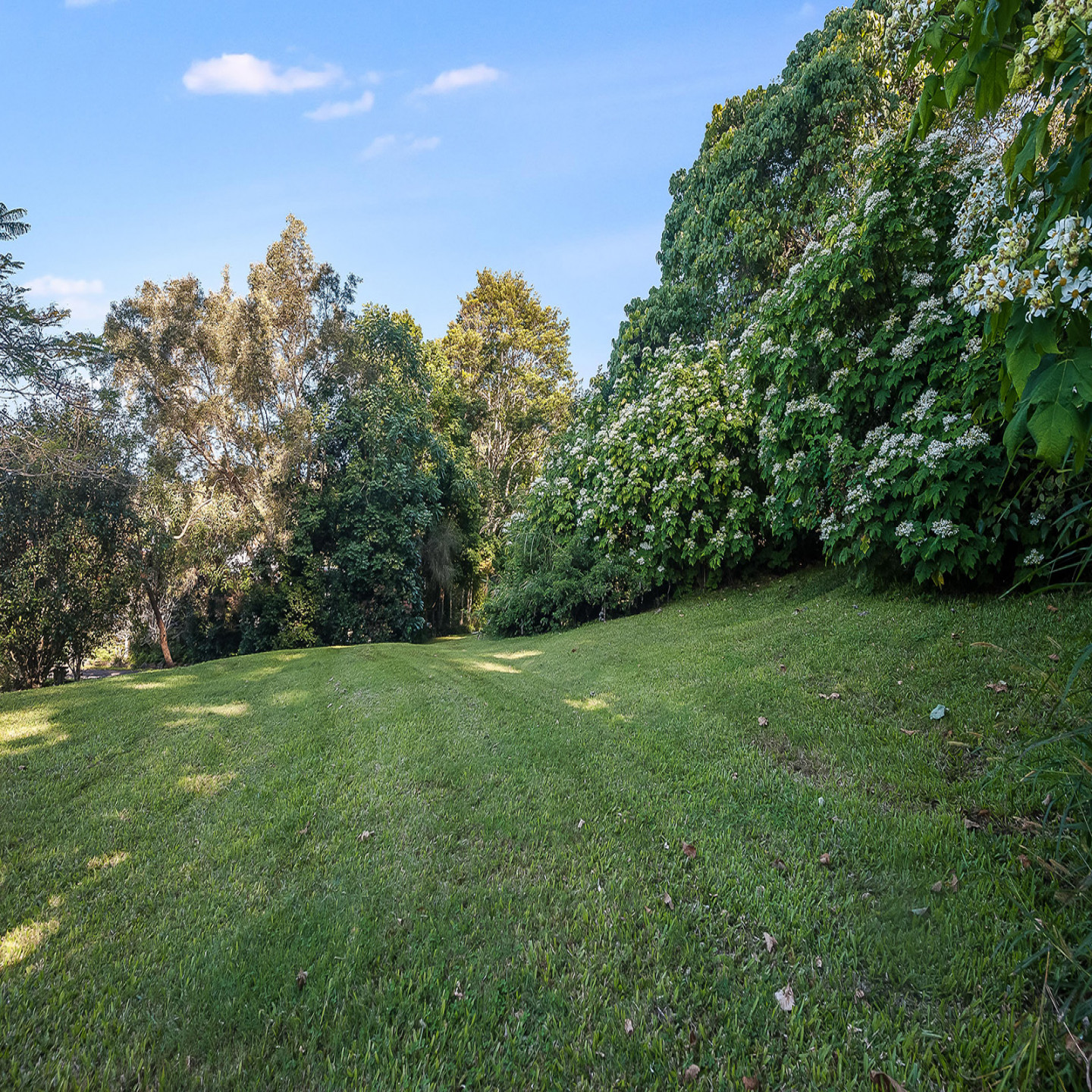 7 Spring Gardens Court photo 3