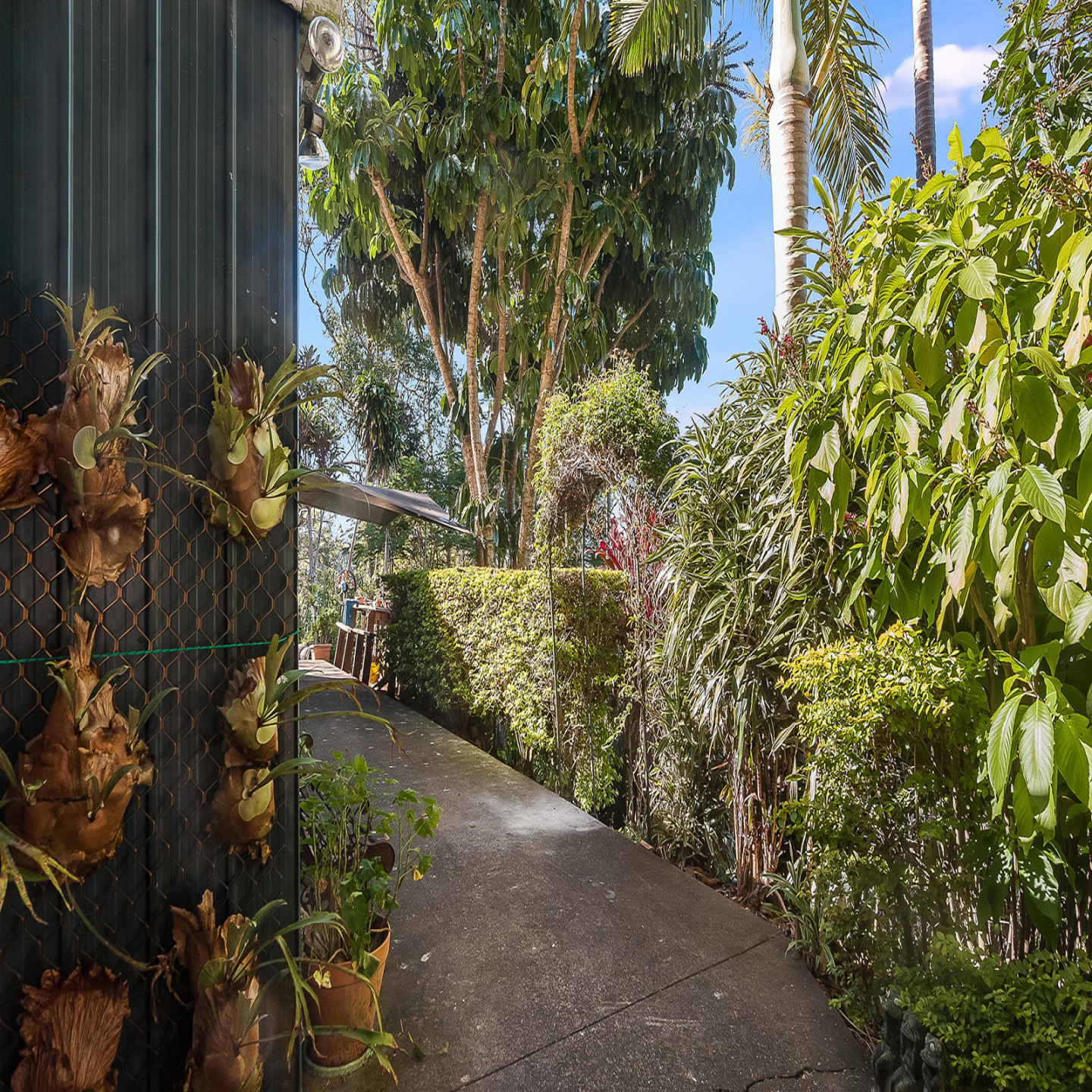 7 Spring Gardens Court photo 7