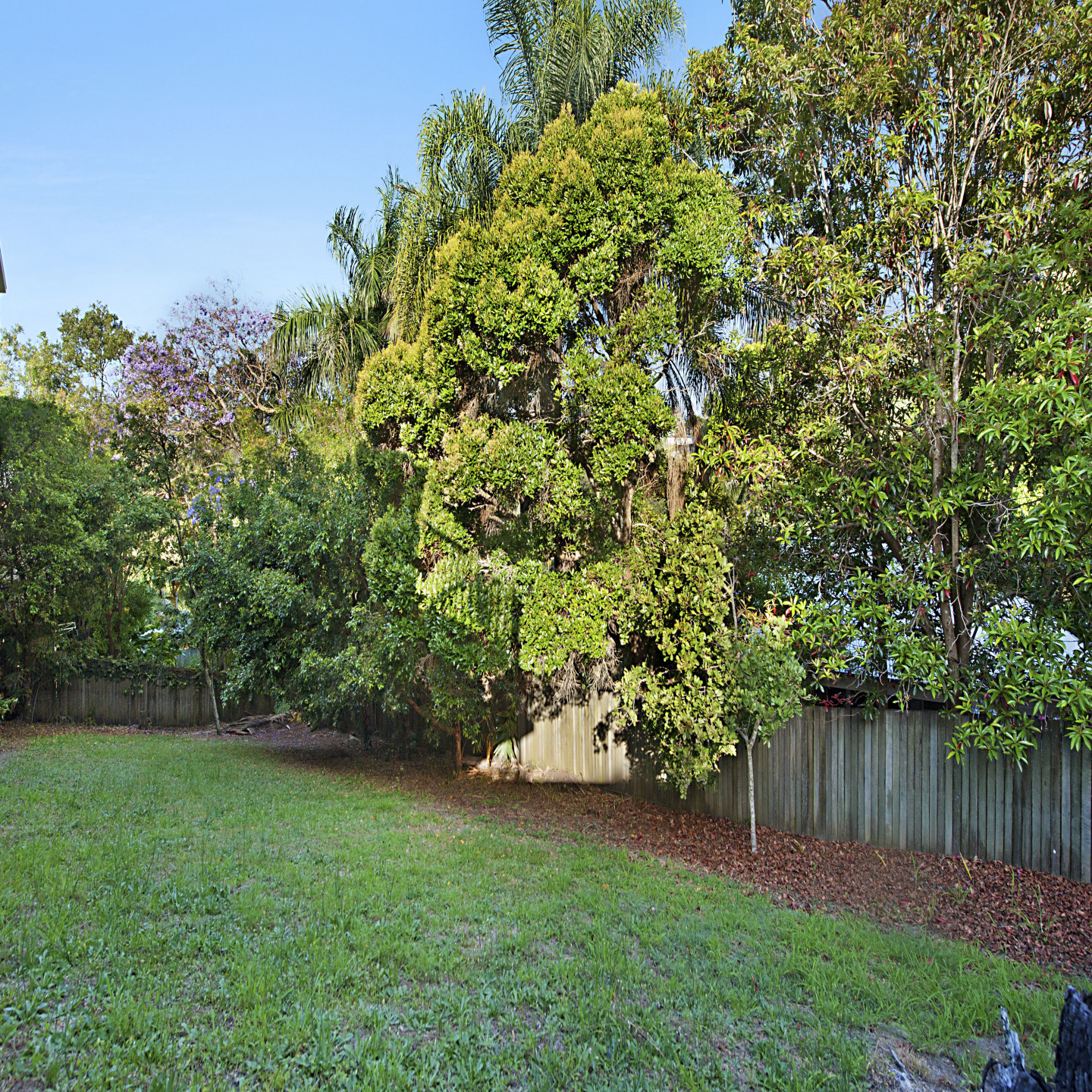 12 Deloraine Drive photo 3