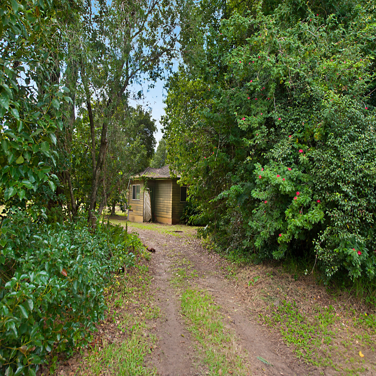 42 Corlis Avenue photo 15