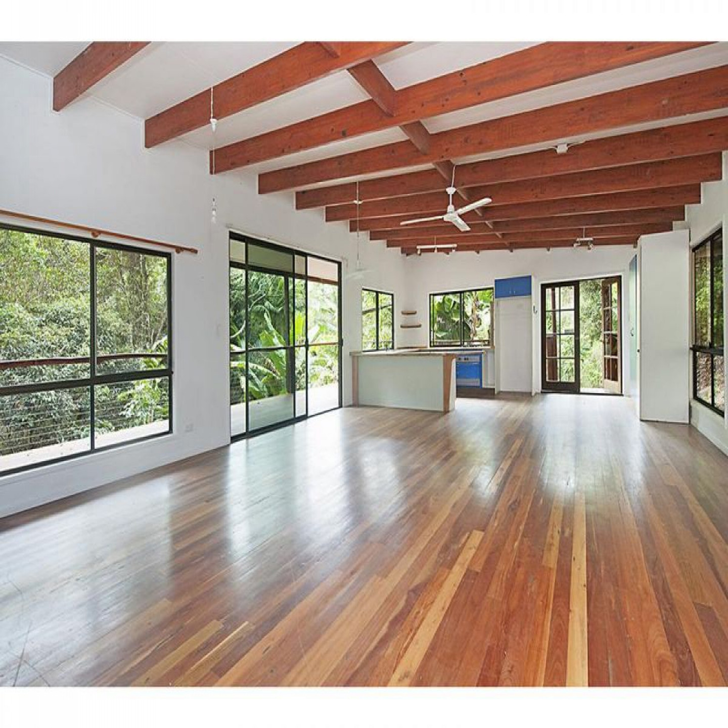 71 Jillian Road photo 3