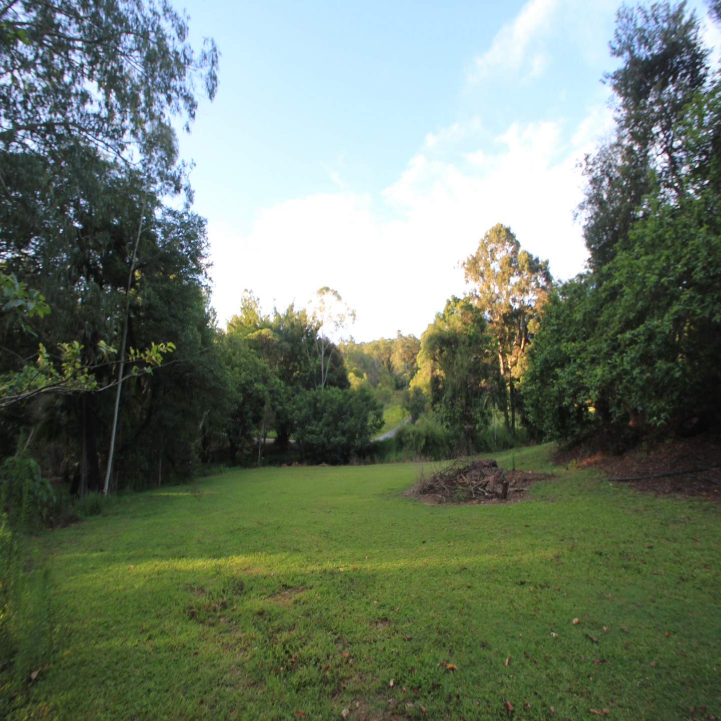 63 Macdonald Road photo 17