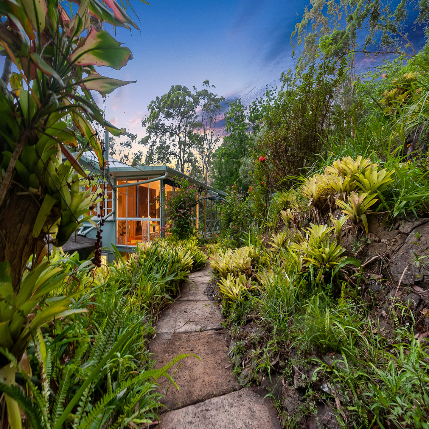 517 Palmwoods Montville Road photo 24