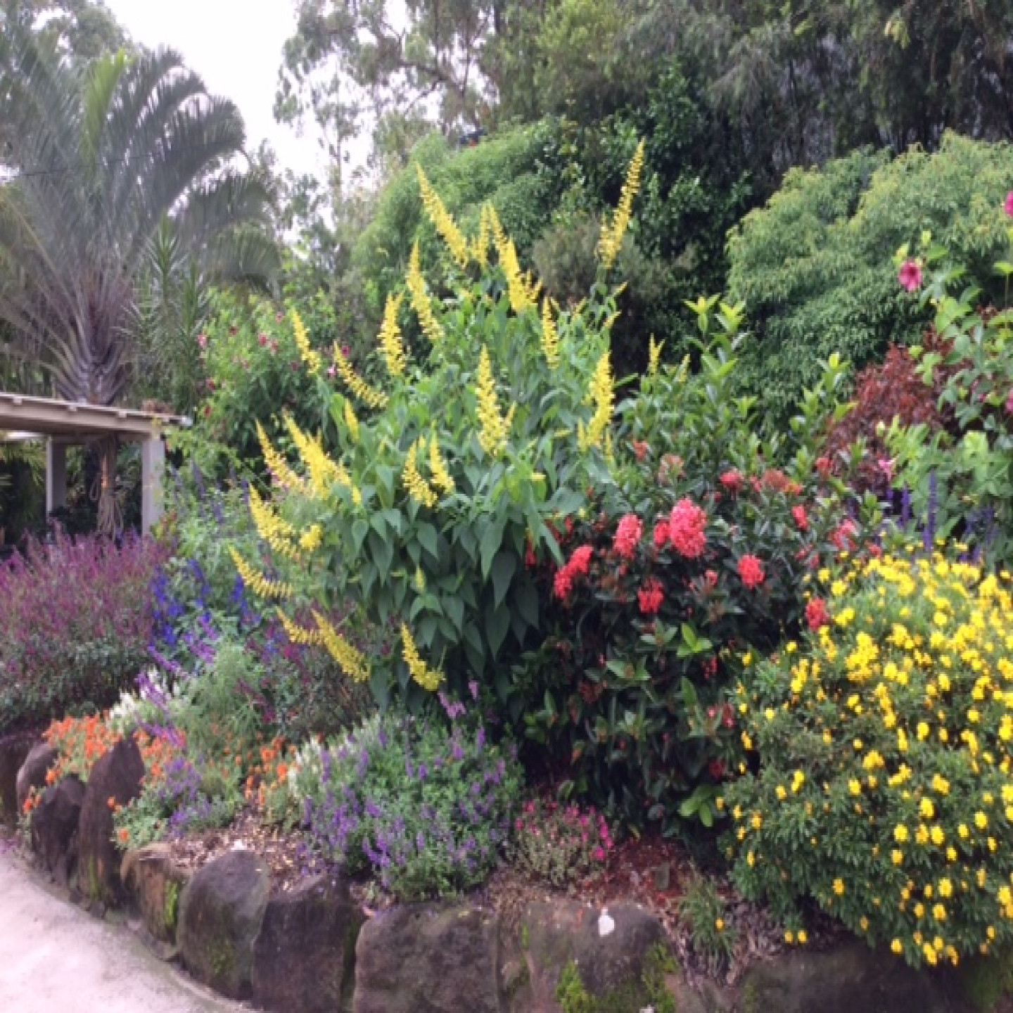 169 Nobles Road photo 31