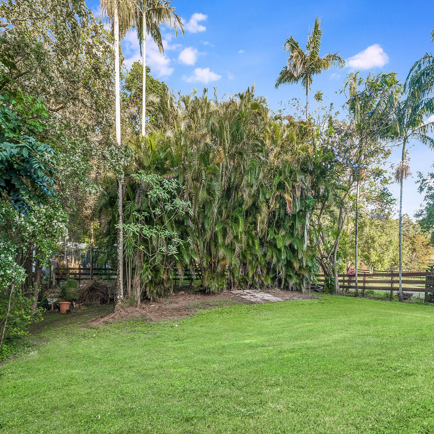 111 Old Palmwoods Road photo 16