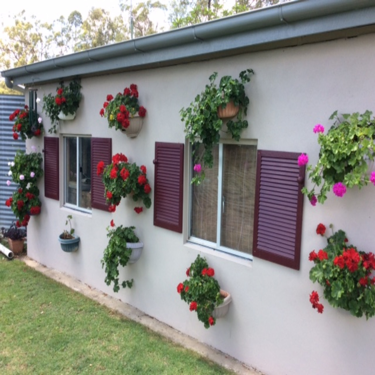 169 Nobles Road photo 30