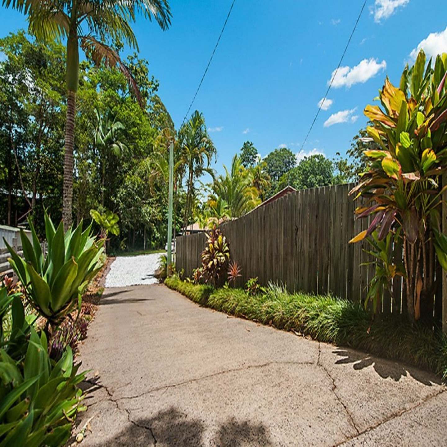 37 Taronga Street photo 4