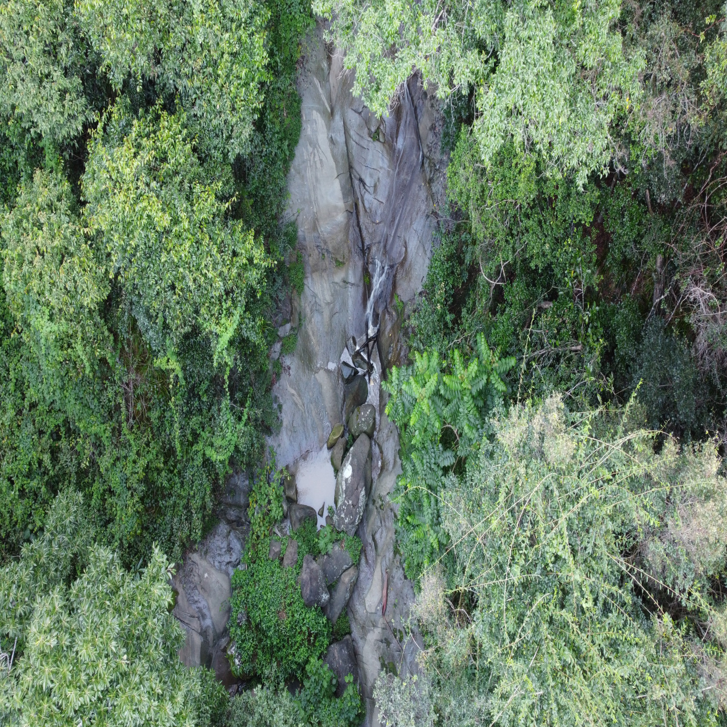 71 Jillian Road photo 18