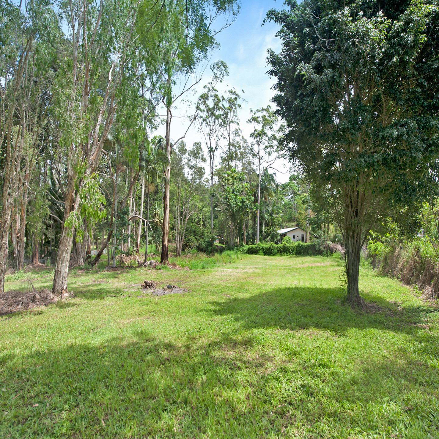 434 Chevallum Road photo 6