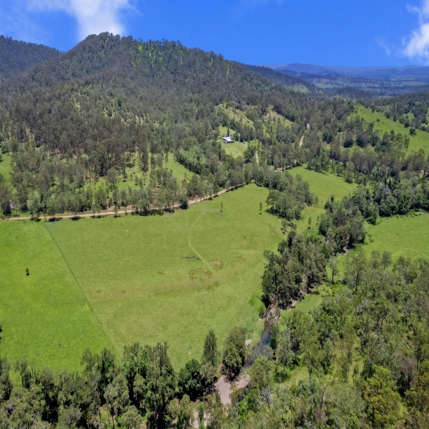 878 Mount Byron Road photo 15