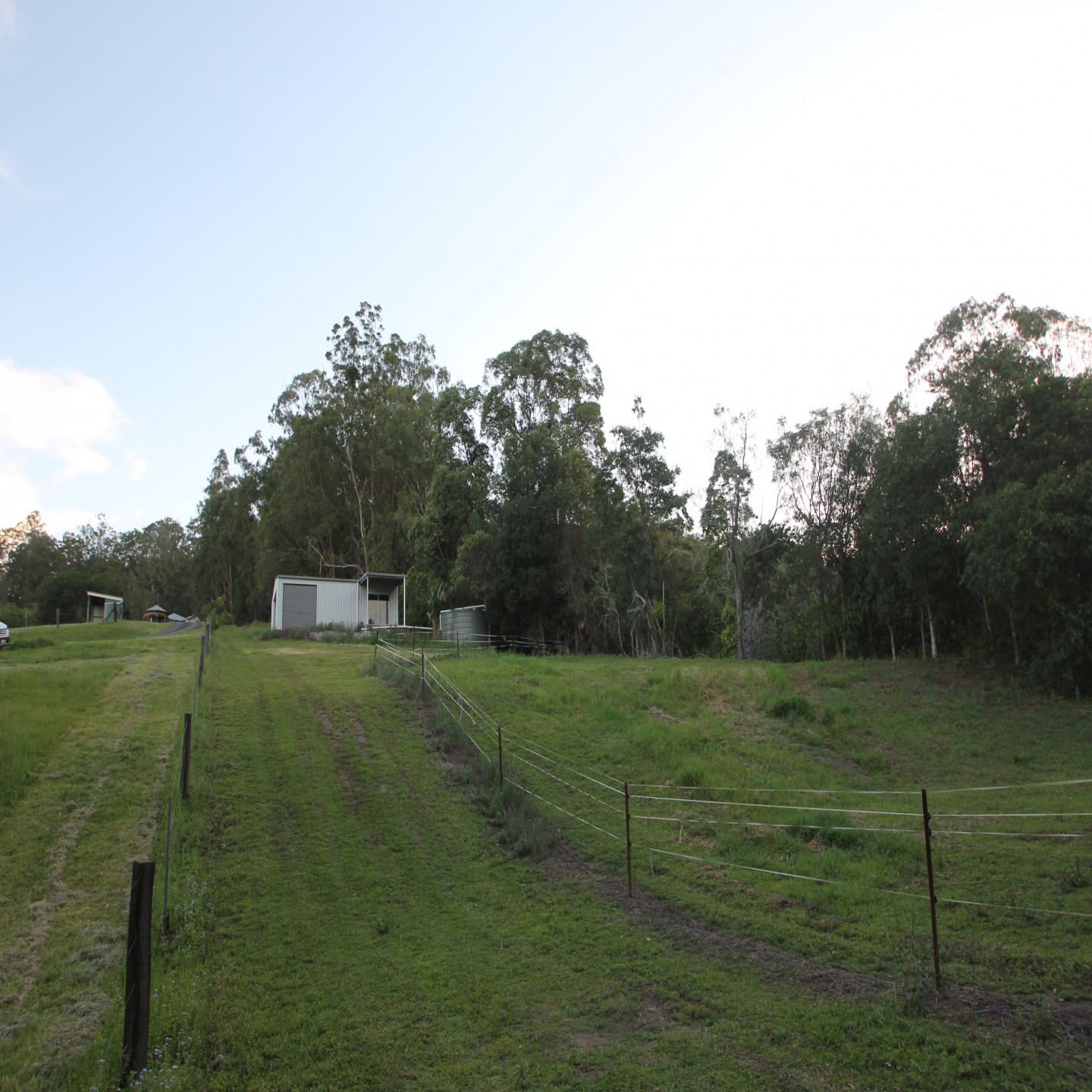 63 Macdonald Road photo 6