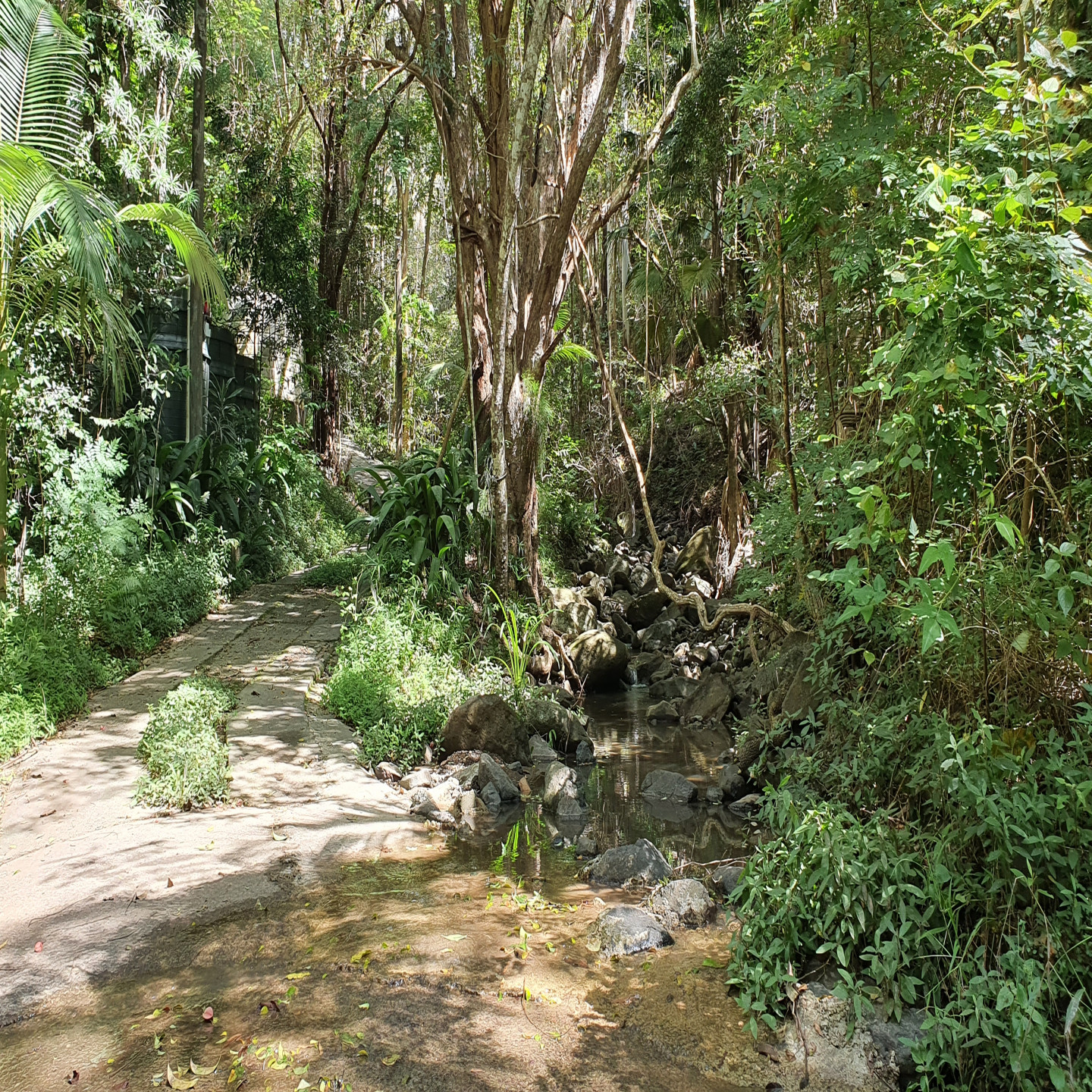 71 Jillian Road photo 15