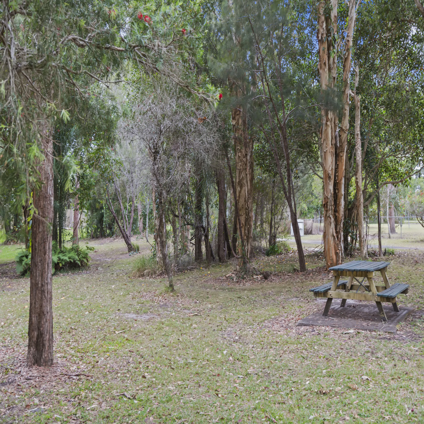 46 Yellowood Close photo 19