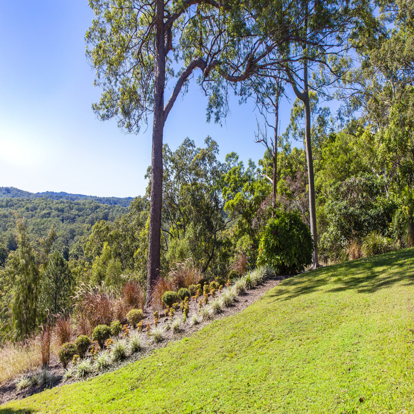 169 Nobles Road photo 28