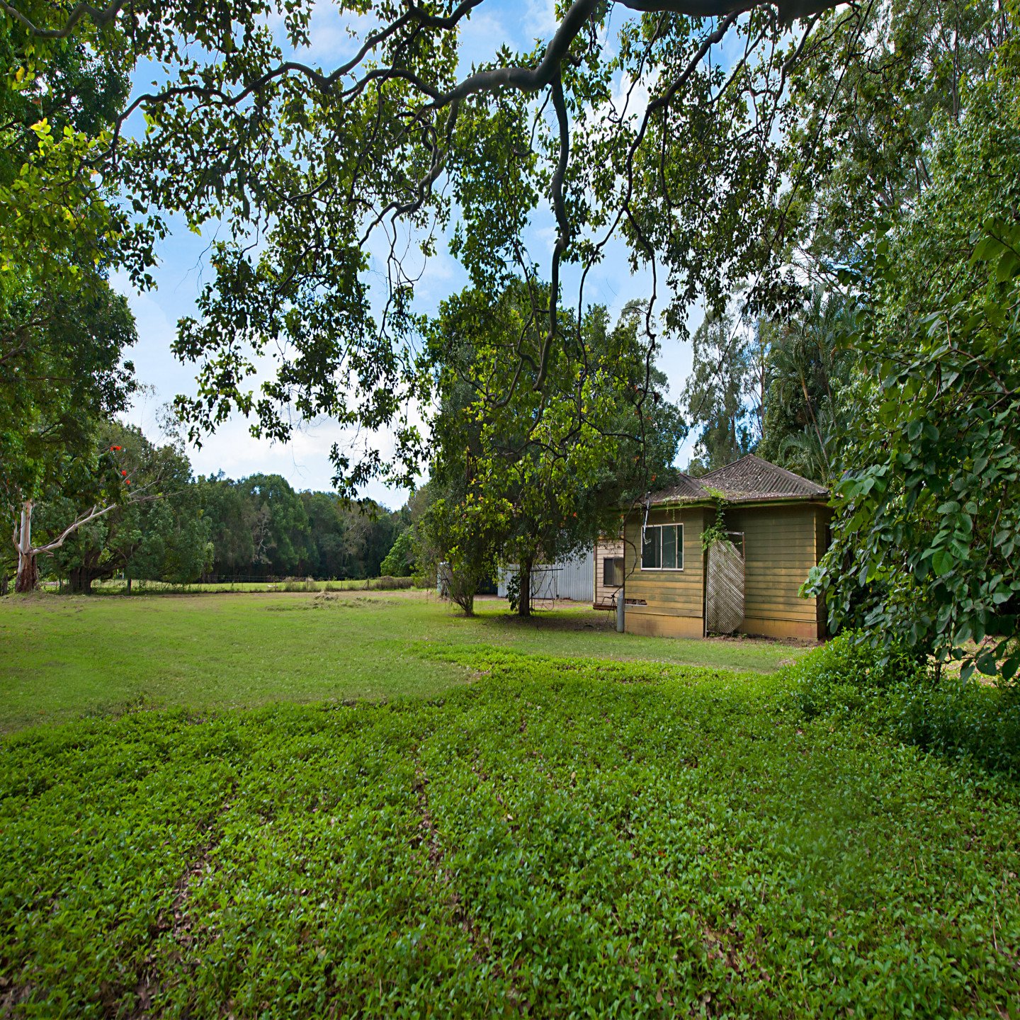 42 Corlis Avenue photo 6