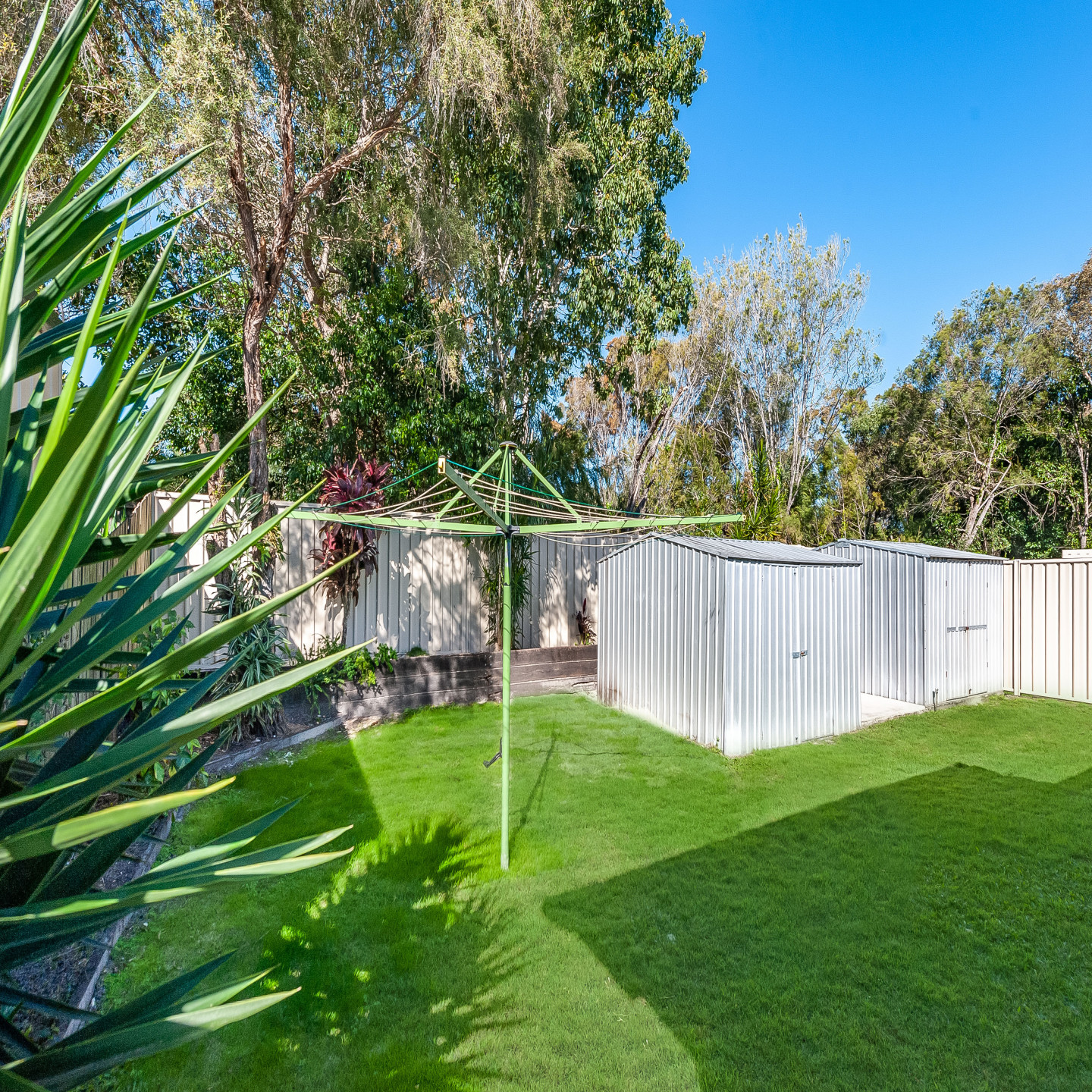 8 Calluna Place photo 5