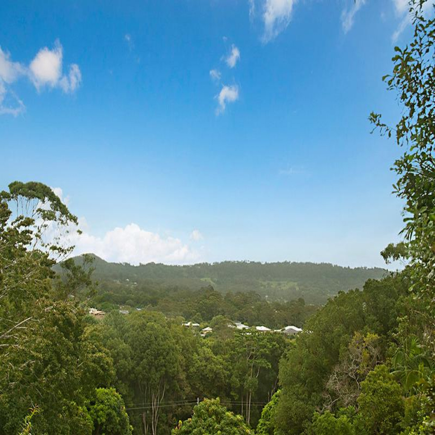 6 Blackall Range Road photo 22