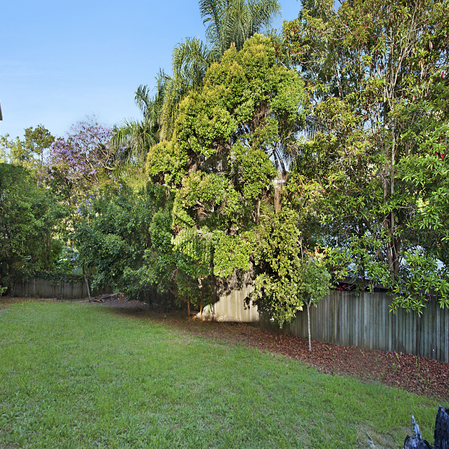 12 Deloraine Drive photo 8
