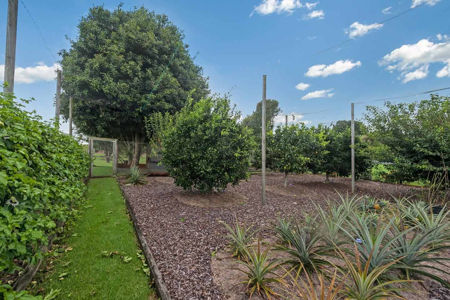 88 Berganns Rd photo 18