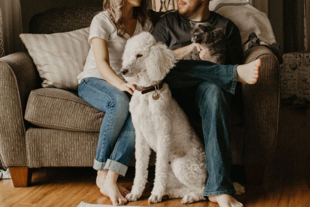 Allowing Pets in Rental Properties Allowing Pets in Rental Properties, Dog in Open Homes