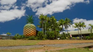 Big-pineapple-land-glamping