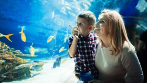 kids-School-Holiday-Ideas-Sunshine-coast