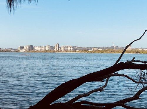 Looking towards Maroochydore from Mudjimba Dog Beach