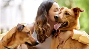 Should-You-Allow-a-Tenant-With-Pets-to-Rent-Your-Investment-Property--672x372