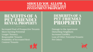 Should-you-allow-a-tenant-with-pets-to-rent-your-investment-property