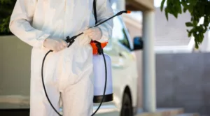 Does-tenant-or-landlord-pay-for-pest-control-672x372