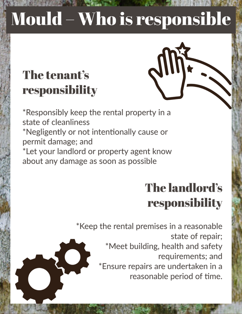 infographic on Mould – Who is responsible