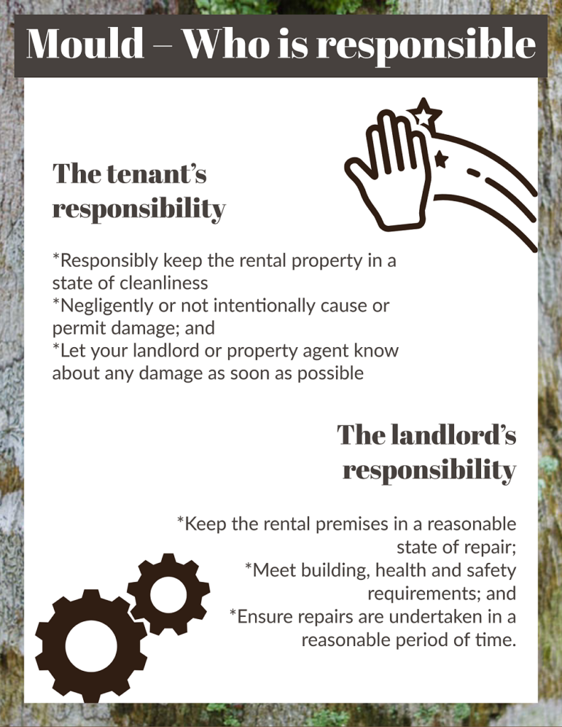 who is responsible for mould in a rental property qld infographic