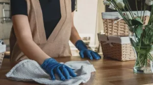 https://www.assetagents.com.au/wp-content/uploads/2020/09/Home-Spring-Cleans-for-Tenants-672x372.jpeg