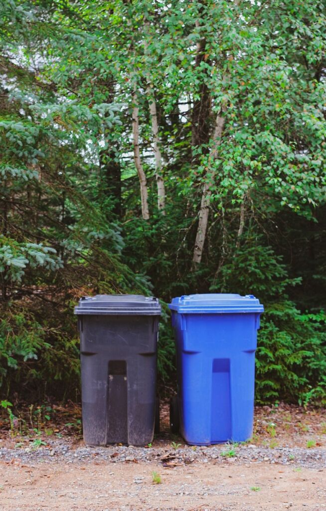 black and blue bins outside the woods