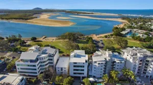 Cotton-Tree-taken-with-my-drone-672x372