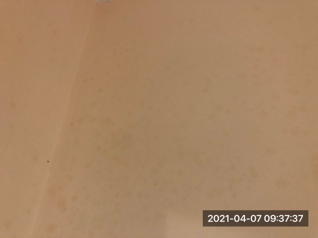 Fine thin film of mould on a wall in wet weather